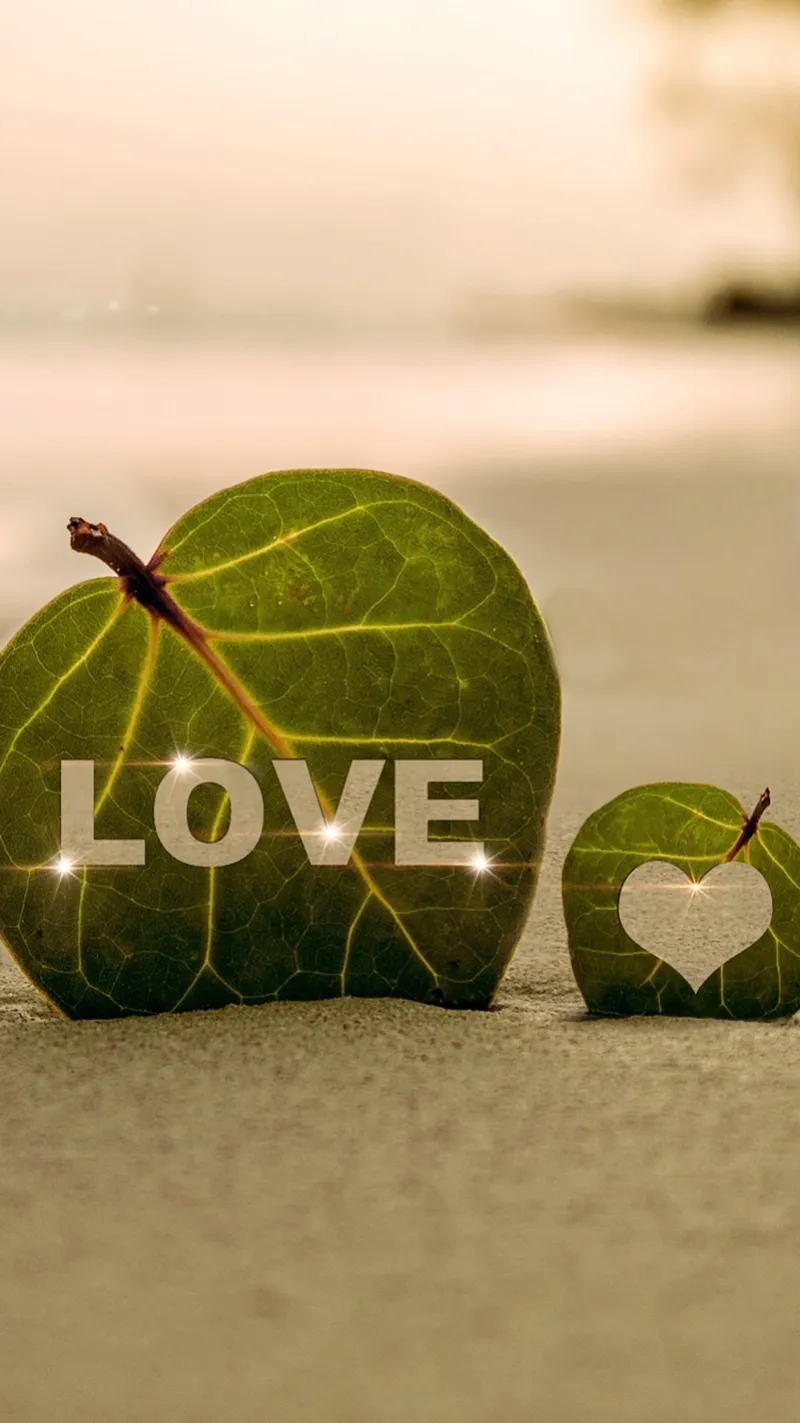 Gambar 05. Daun Love