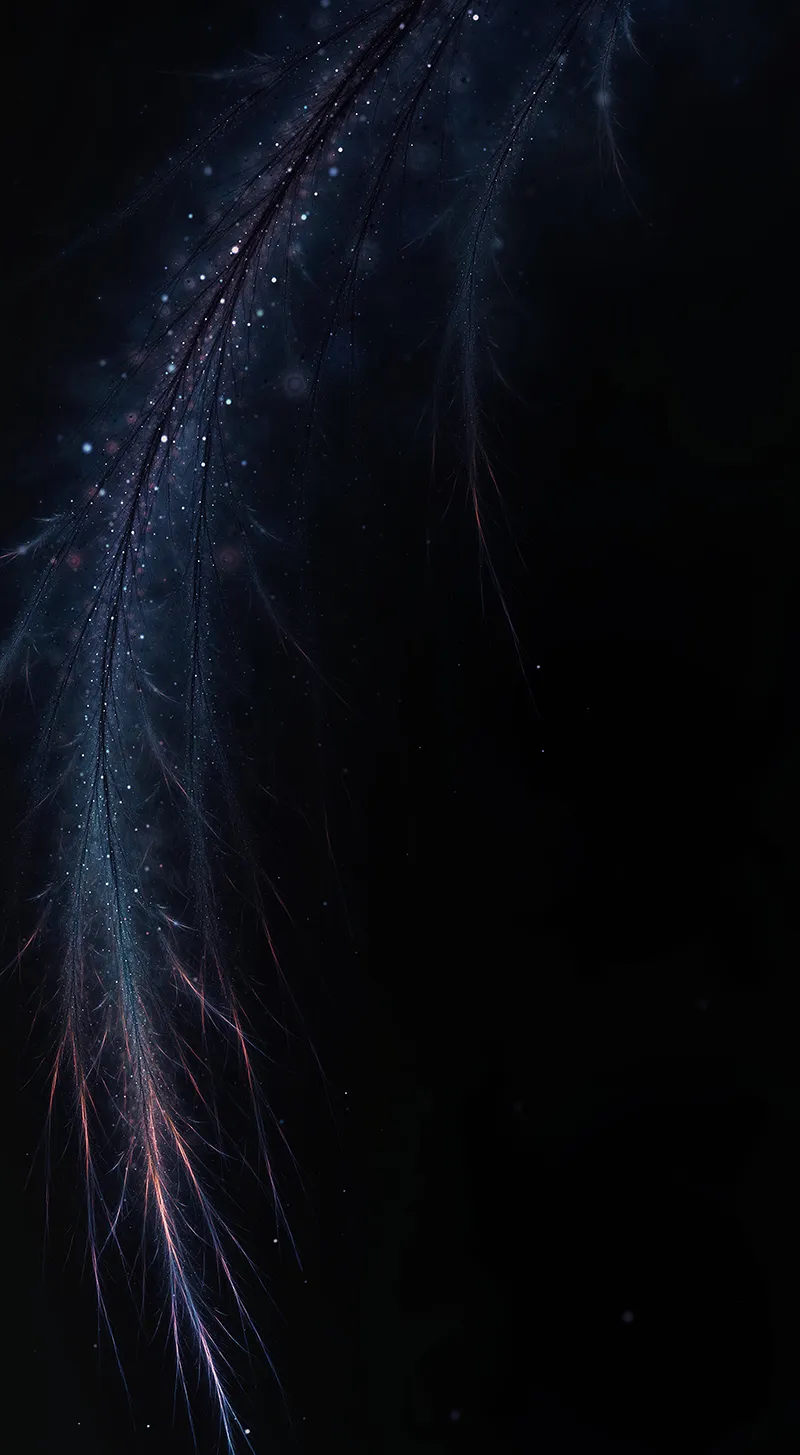 Gambar 08. Bulu Bersinar