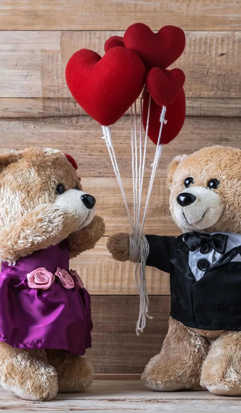 Gambar 10. Teddy Bear Love