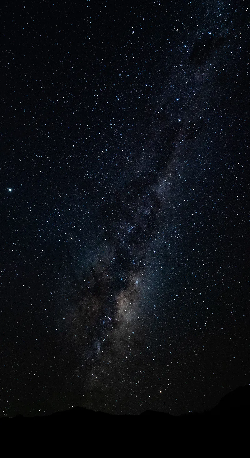 Gambar 11. Bintang Malam