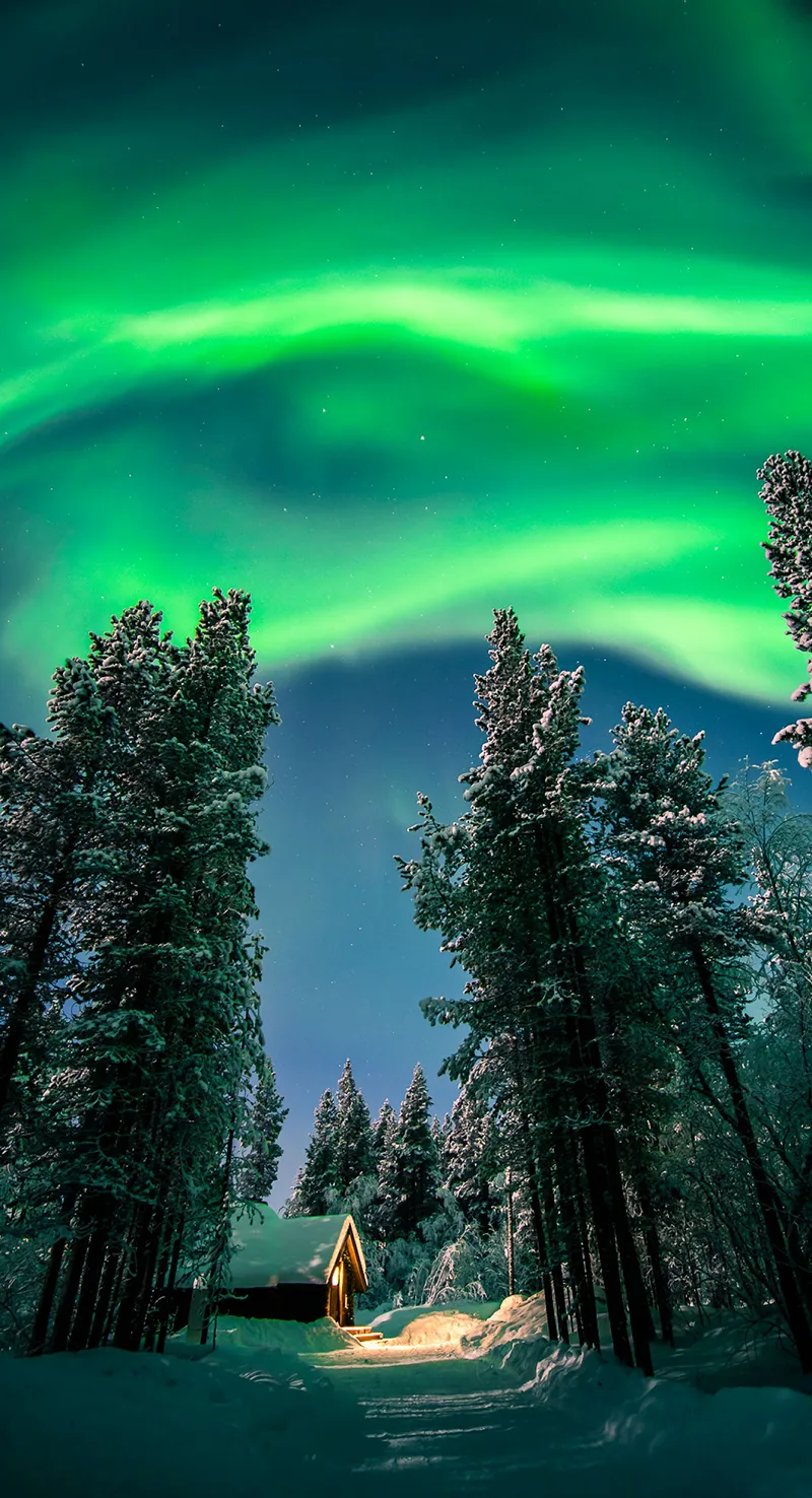 Gambar 11. Winter Aurora Hijau