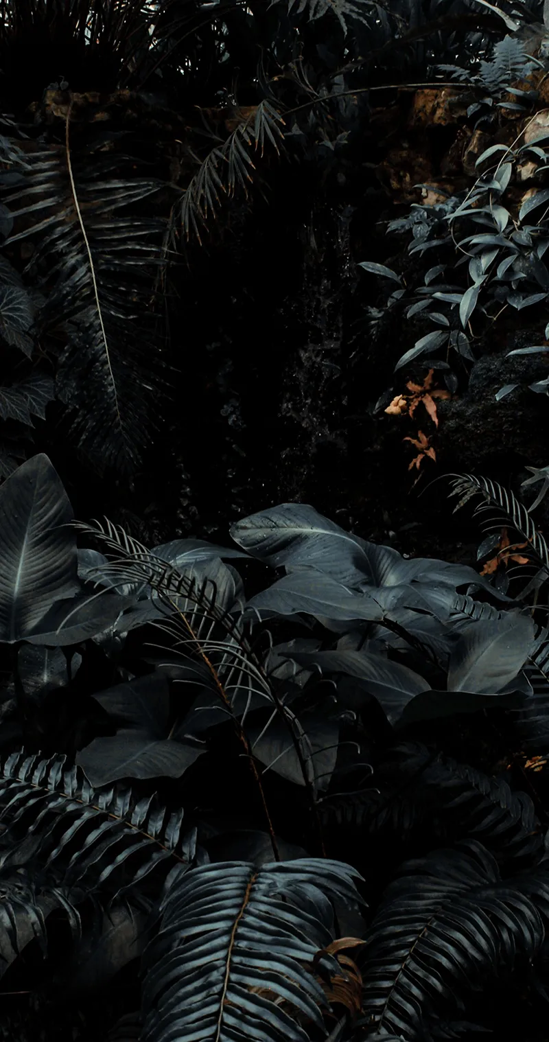 Gambar 14. Hutan Tropis Dark