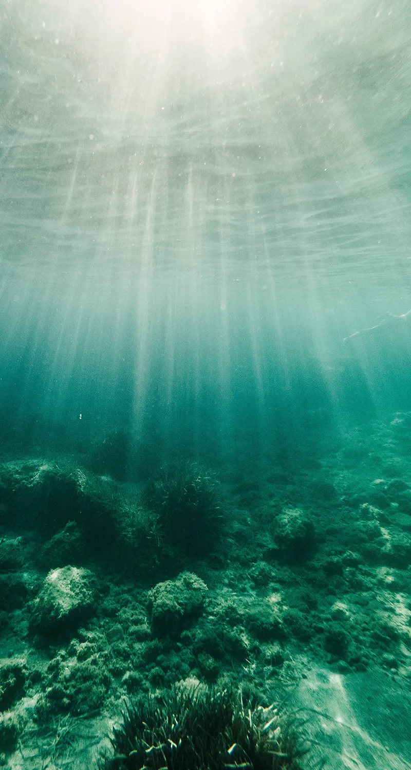 Gambar 14. Underwater