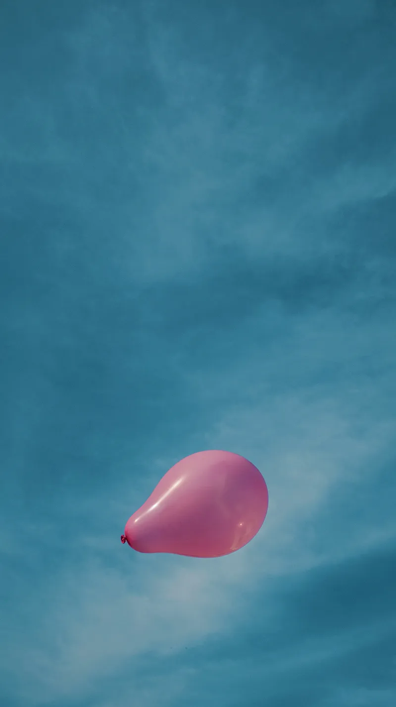Gambar 18. Balon Pink