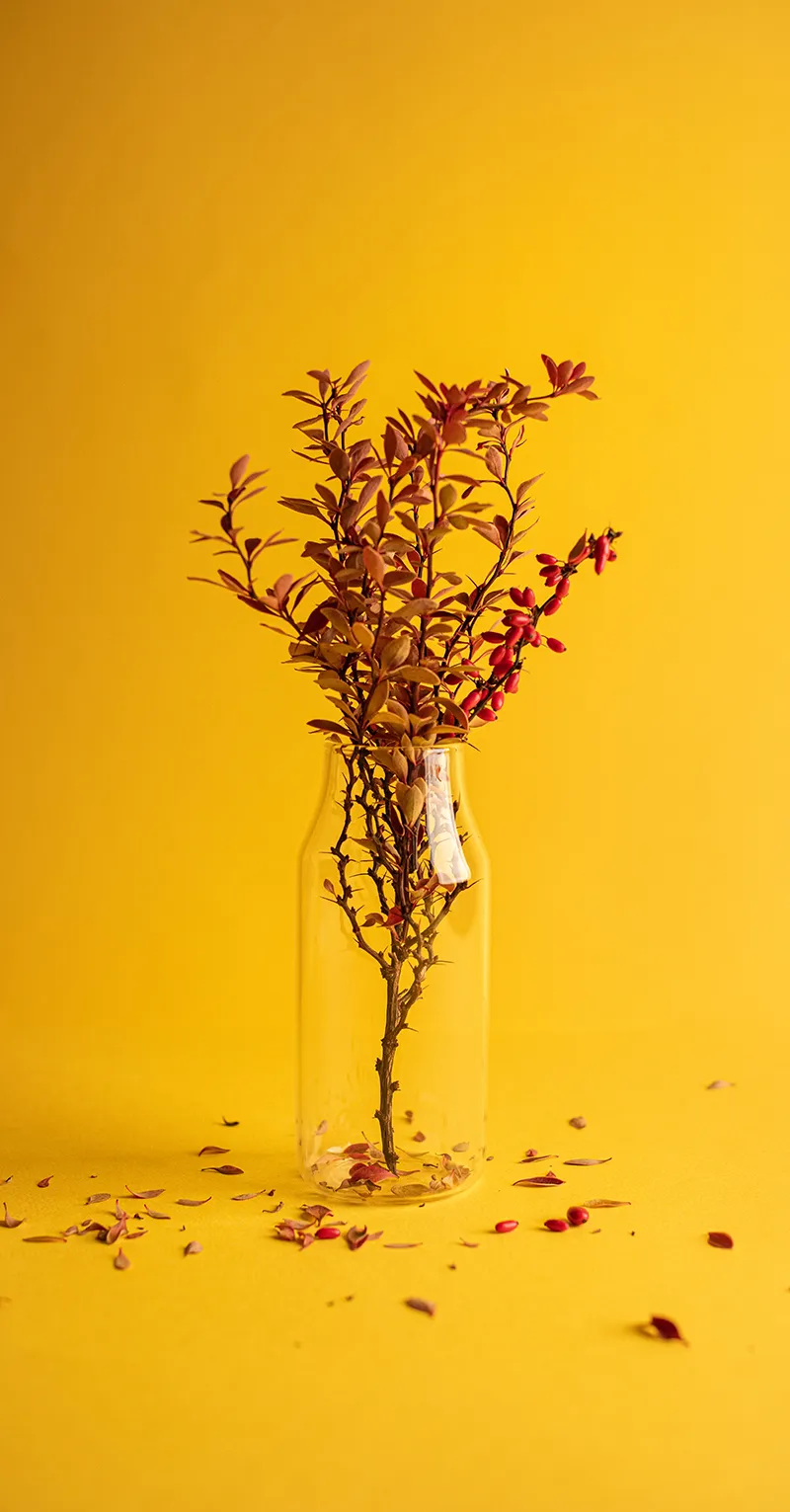 Gambar 24. Vas Bunga Latar Kuning