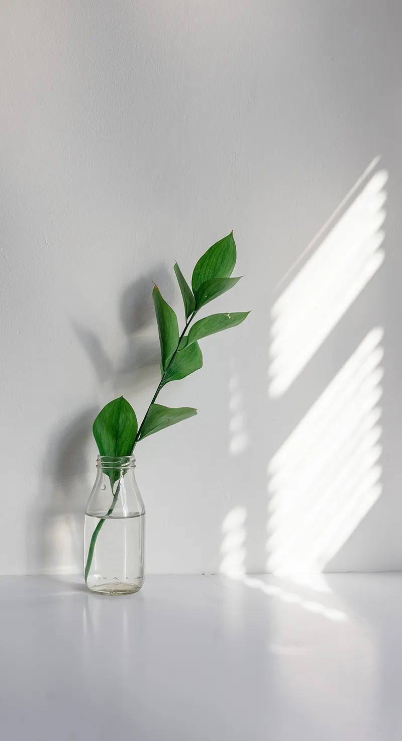 Gambar 25. Vas Botol