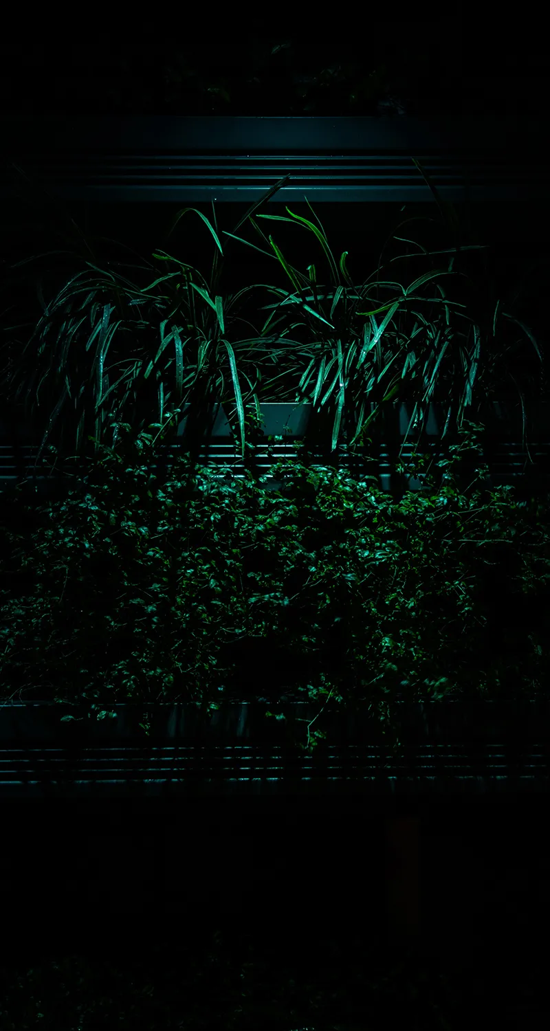 Gambar 26. Tanaman Tema Dark