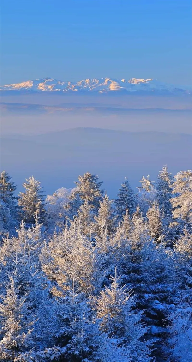 Gambar 28. Winter Cantik