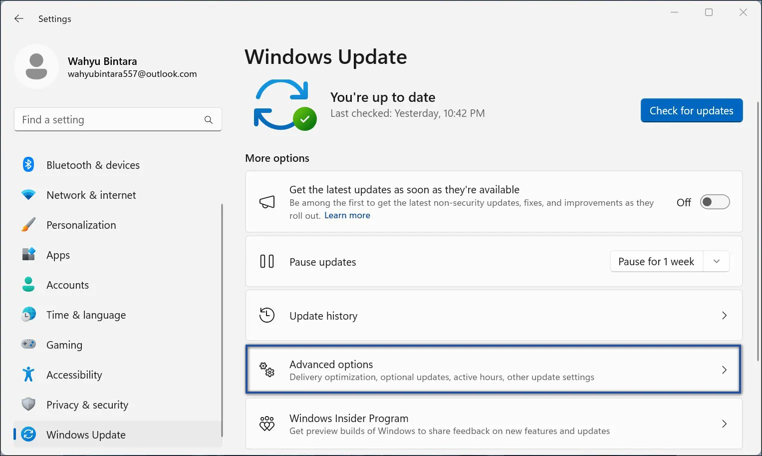 Advanced Options Windows Update di Windows 11